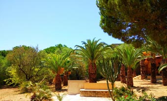 Appartamenti stanze casa vacanze
