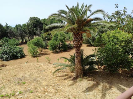 Residence Villa Margherita Agrigento Sicilia Sicily